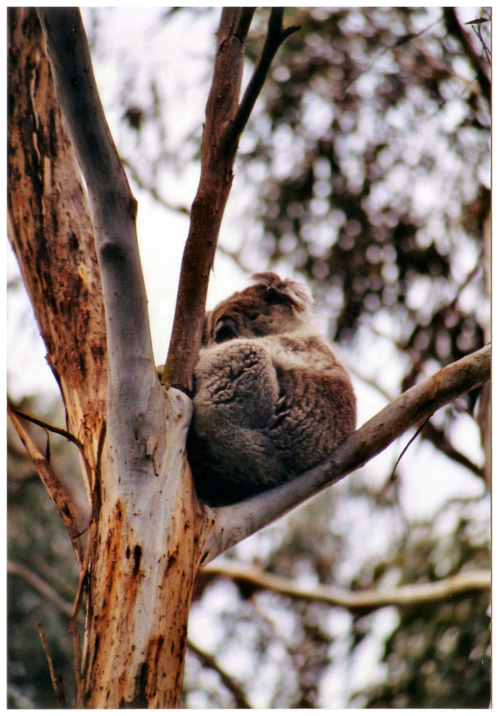 03 - Victoria (11).jpg